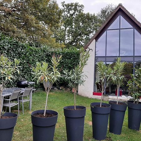 Gite Des Chateaux De La Loire فيلاندري المظهر الخارجي الصورة
