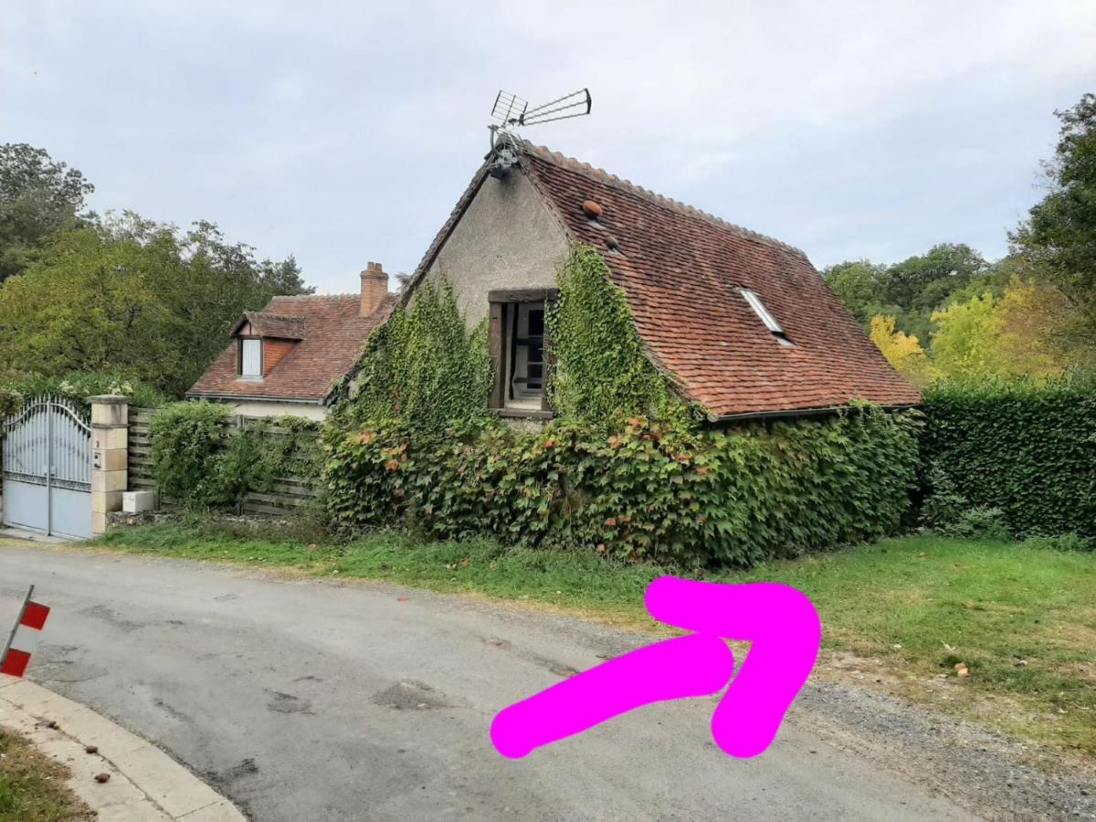 Gite Des Chateaux De La Loire فيلاندري المظهر الخارجي الصورة